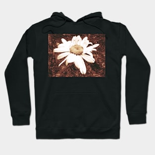 Daisy Secrets Hoodie